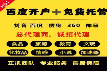 SEM托管服务助力电商平台流量翻倍的秘诀